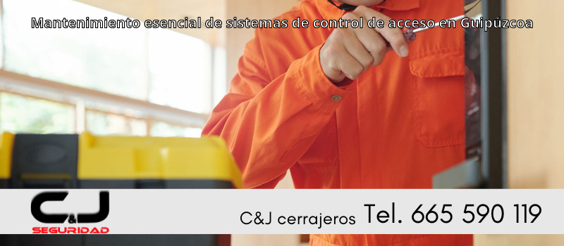 Mantenimiento esencial de sistemas de control de acceso en Guipúzcoa